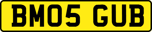 BM05GUB