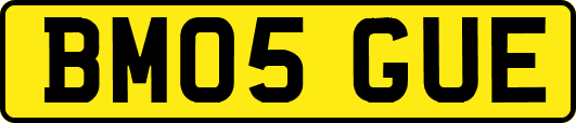 BM05GUE