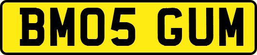 BM05GUM