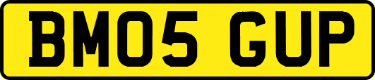 BM05GUP