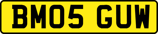 BM05GUW