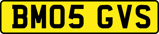 BM05GVS