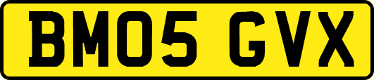 BM05GVX