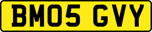 BM05GVY
