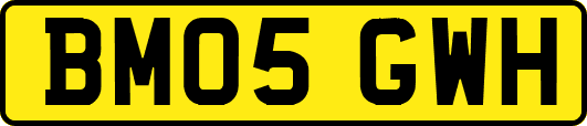 BM05GWH