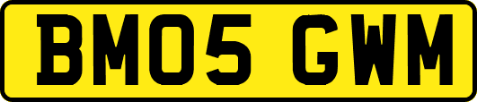 BM05GWM