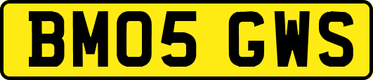 BM05GWS