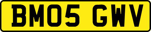 BM05GWV