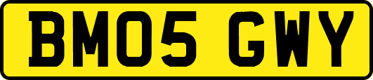BM05GWY