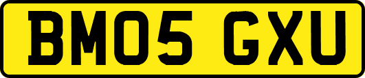 BM05GXU