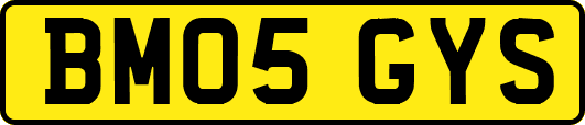 BM05GYS