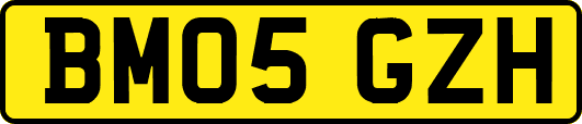 BM05GZH