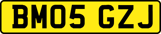 BM05GZJ