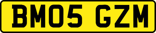 BM05GZM