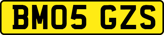 BM05GZS