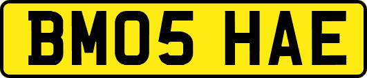 BM05HAE