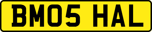 BM05HAL