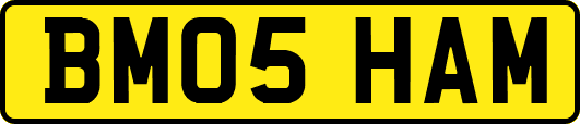 BM05HAM