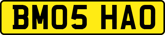 BM05HAO