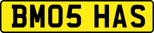 BM05HAS