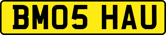 BM05HAU
