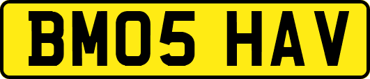 BM05HAV