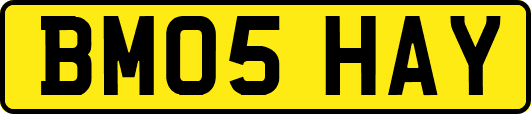 BM05HAY