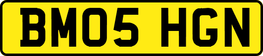 BM05HGN