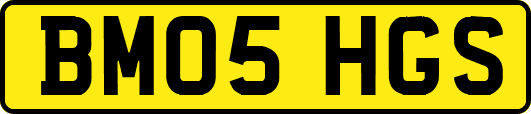 BM05HGS