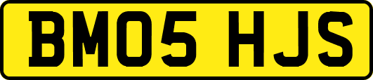 BM05HJS