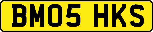 BM05HKS