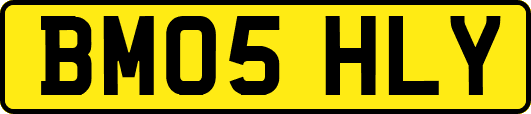 BM05HLY