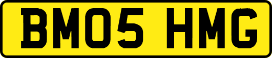 BM05HMG