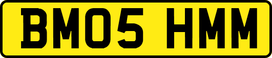 BM05HMM