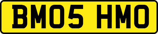 BM05HMO