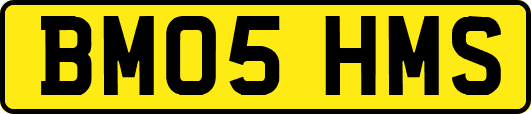 BM05HMS