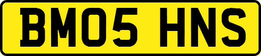 BM05HNS