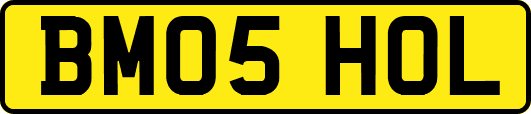 BM05HOL