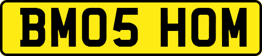 BM05HOM