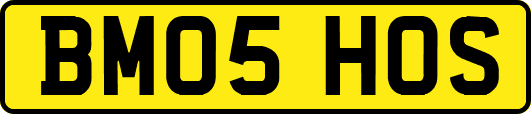 BM05HOS