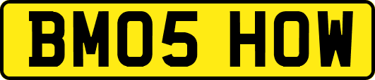 BM05HOW