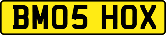 BM05HOX