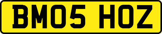 BM05HOZ