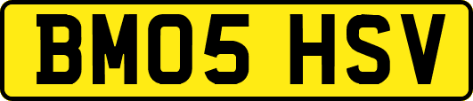 BM05HSV