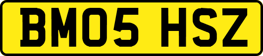 BM05HSZ