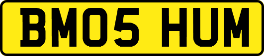 BM05HUM