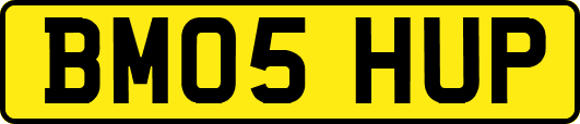 BM05HUP