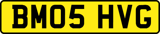 BM05HVG