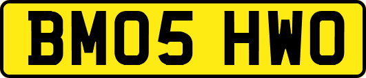 BM05HWO