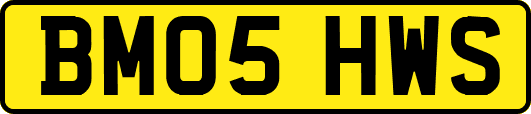BM05HWS